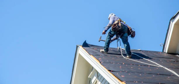 Professional Roofing Contractor in Doolittle, TX